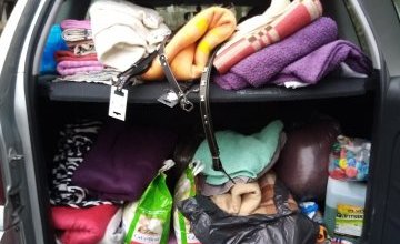 Szkolne aktualności