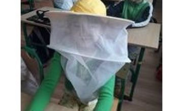 Światowy Dzień Pszczół