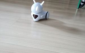 Photon (1)