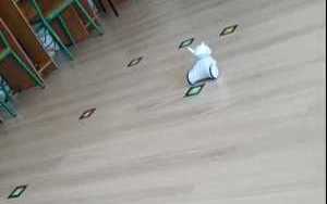 Photon (2)